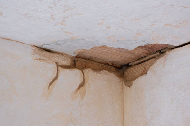 Best Local water damage restoration  in El Sobrante, CA