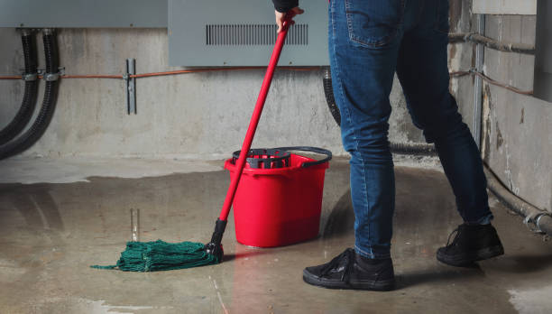 Water damage restoration mold remediation in El Sobrante, CA
