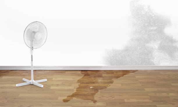 Professional Water damage restoration in El Sobrante, CA
