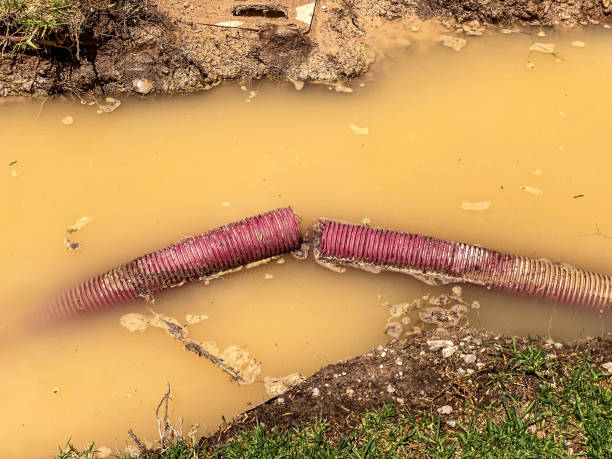 Best Water damage restoration near me  in El Sobrante, CA