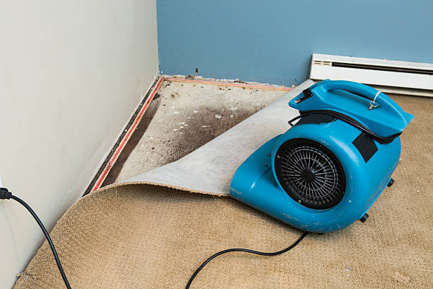 Best Carpet water damage restoration  in El Sobrante, CA